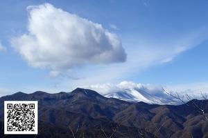 QSLカード画像