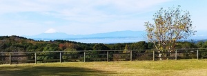 QSLカード画像