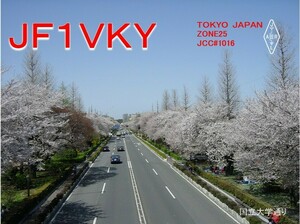 QSLカード画像