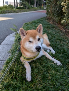 QSLカード画像