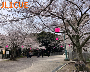 QSLカード画像