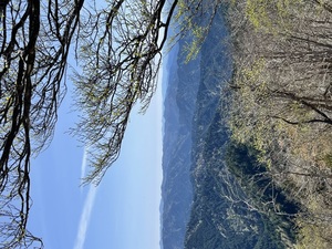 QSLカード画像