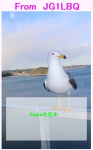 QSLカード画像