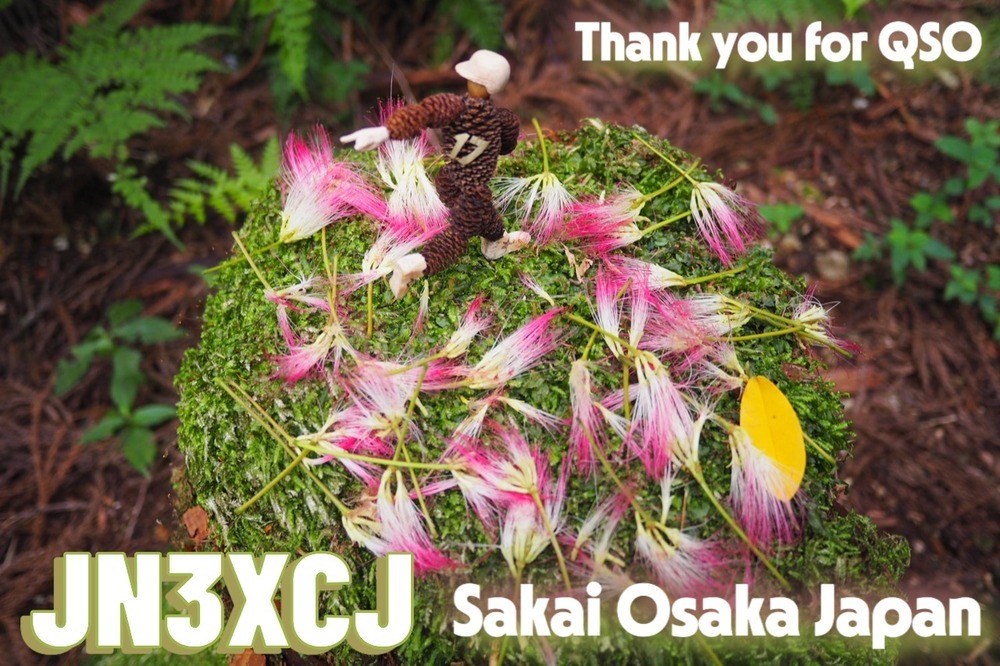 QSLカード画像