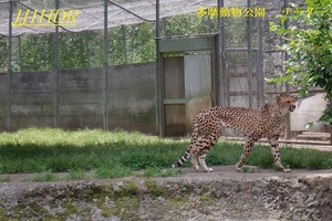 QSLカード画像