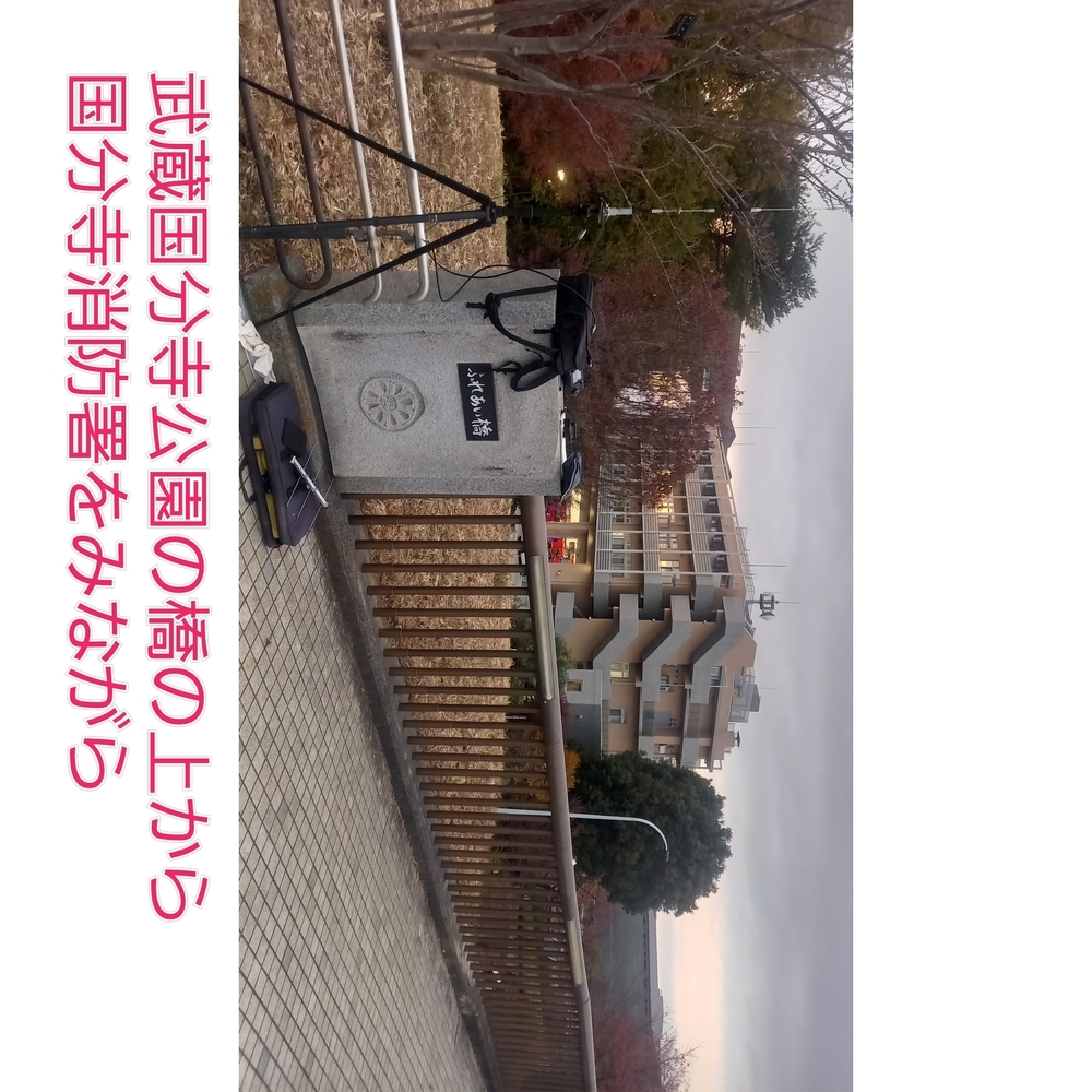 QSLカード画像