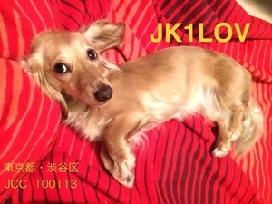 QSLカード画像