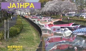 QSLカード画像
