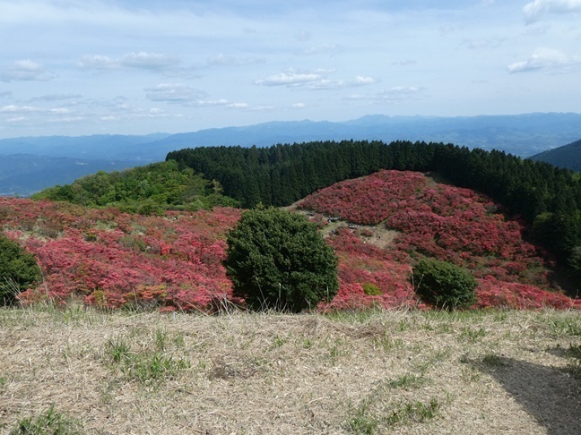 QSLカード画像
