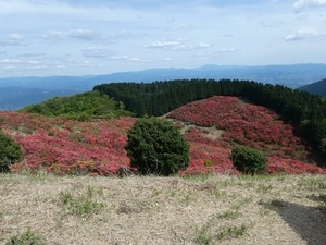 QSLカード画像