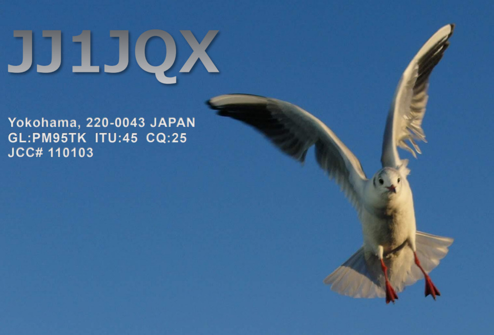 QSLカード画像