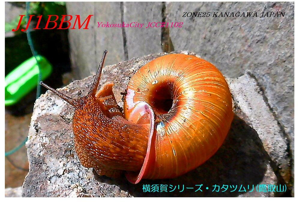 QSLカード画像