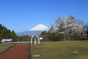 QSLカード画像