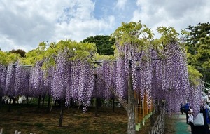 QSLカード画像