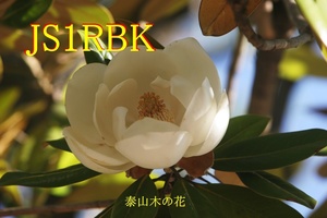 QSLカード画像