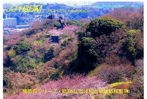 QSLカード画像