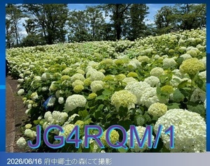 QSLカード画像
