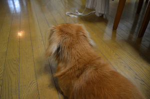 QSLカード画像