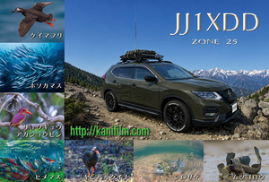 QSLカード画像