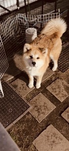 QSLカード画像