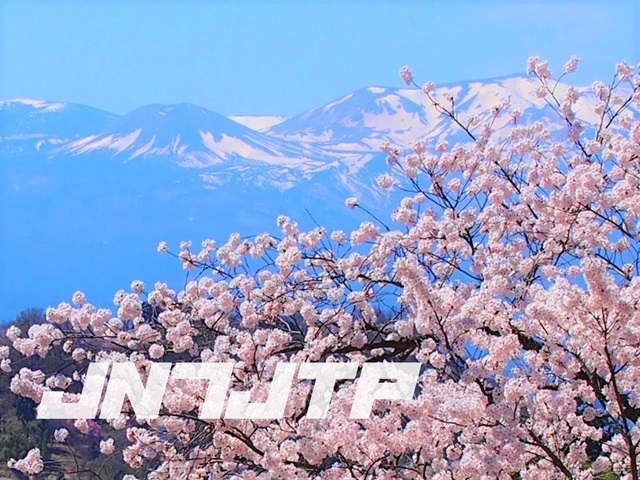 QSLカード画像