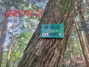 QSLカード画像