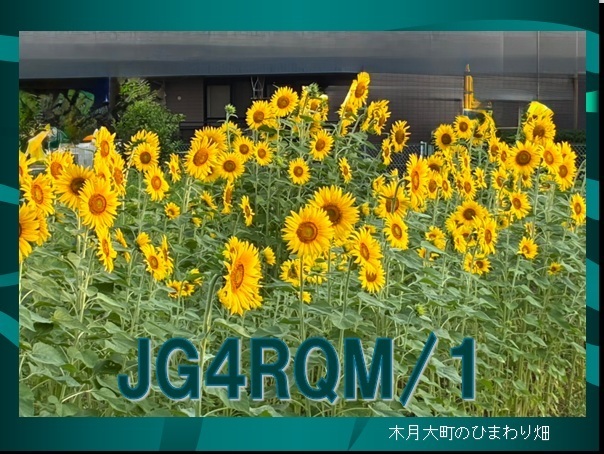 QSLカード画像