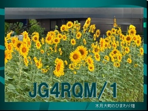QSLカード画像