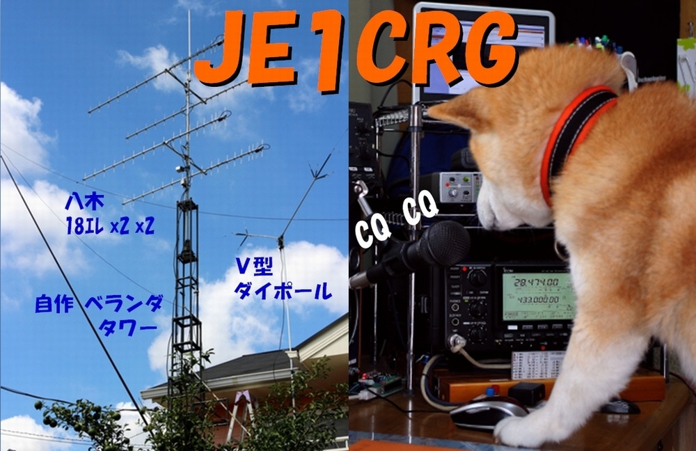 QSLカード画像