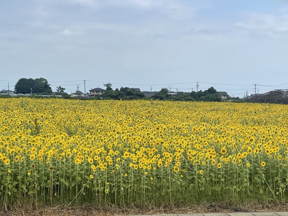 QSLカード画像