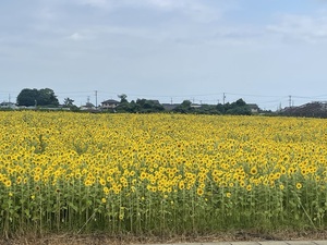 QSLカード画像
