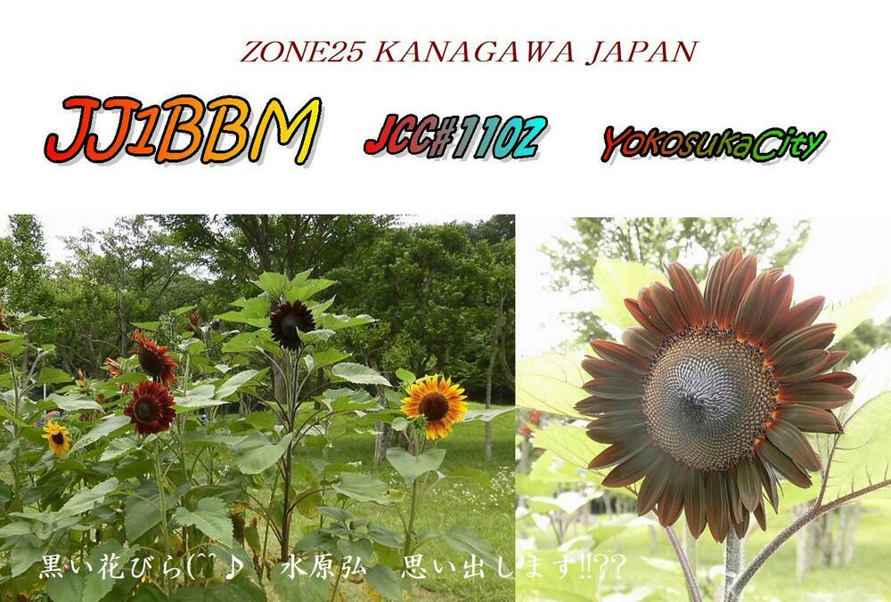 QSLカード画像
