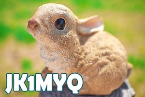 QSLカード画像