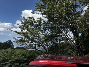 QSLカード画像