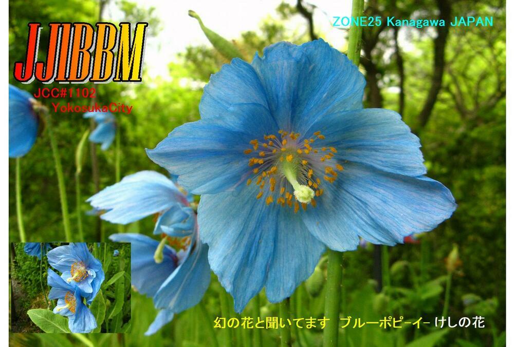 QSLカード画像