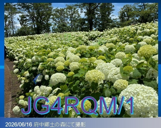 QSLカード画像