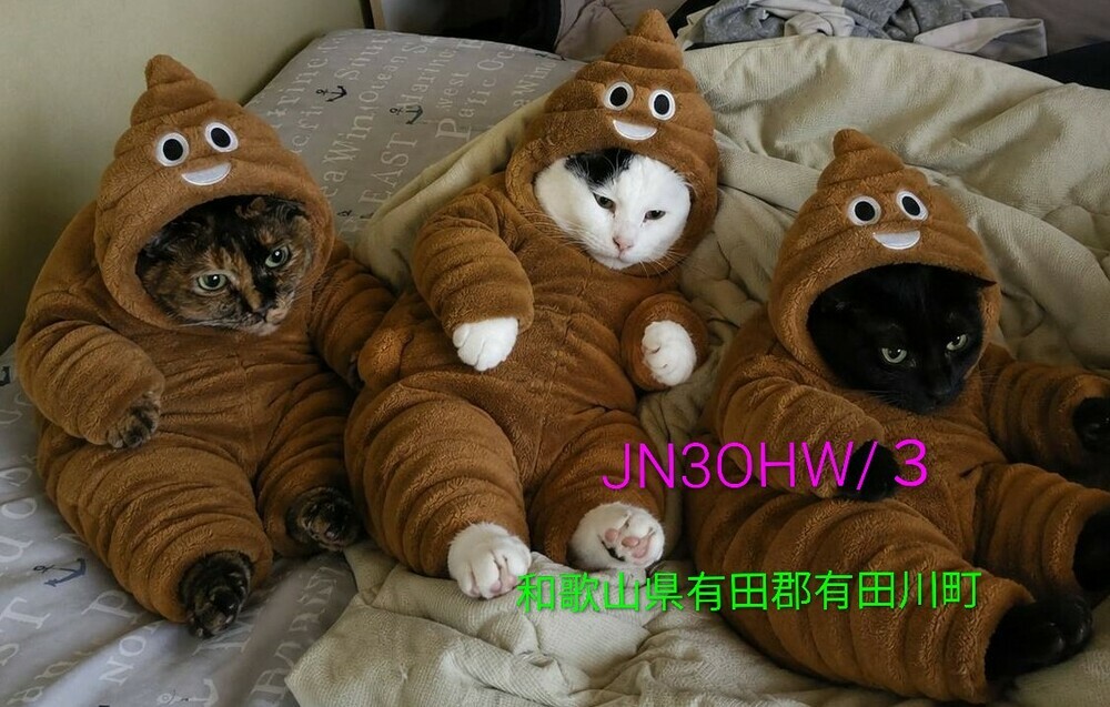 QSLカード画像