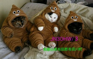 QSLカード画像