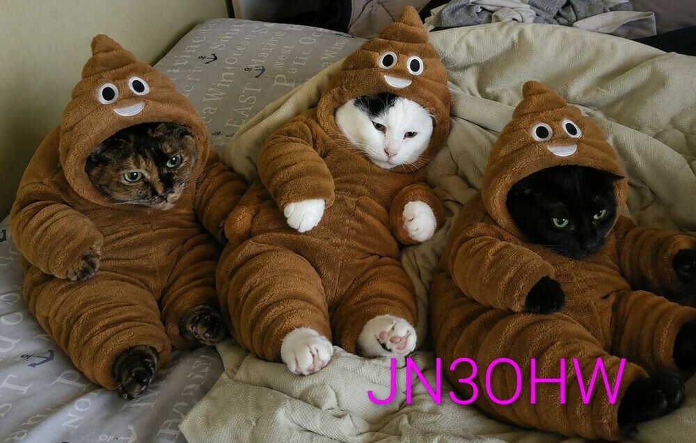 QSLカード画像