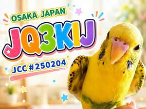 QSLカード画像