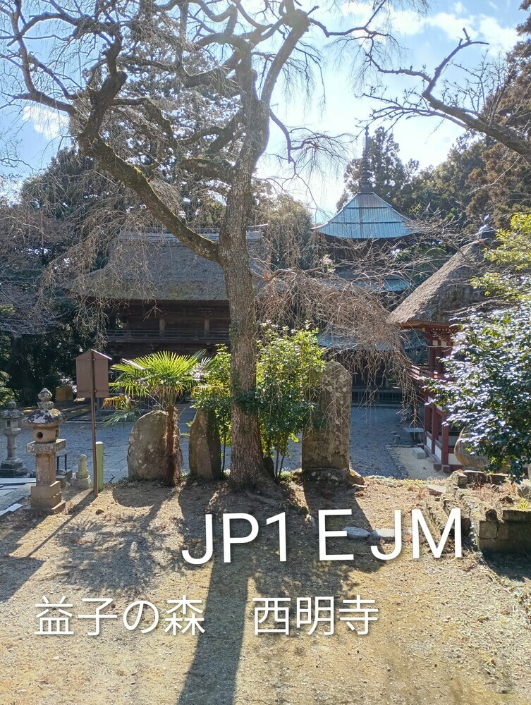 QSLカード画像