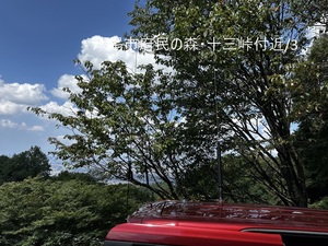 QSLカード画像