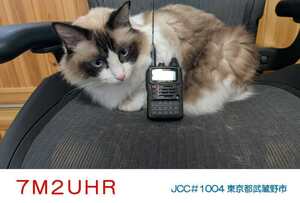 QSLカード画像