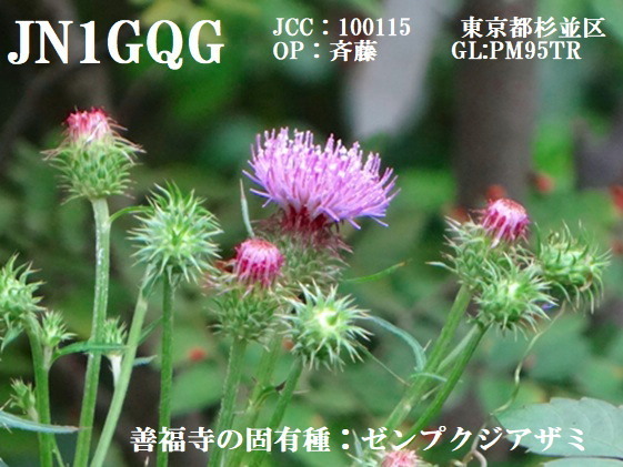 QSLカード画像