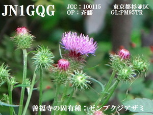 QSLカード画像