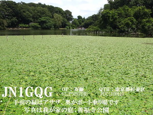 QSLカード画像
