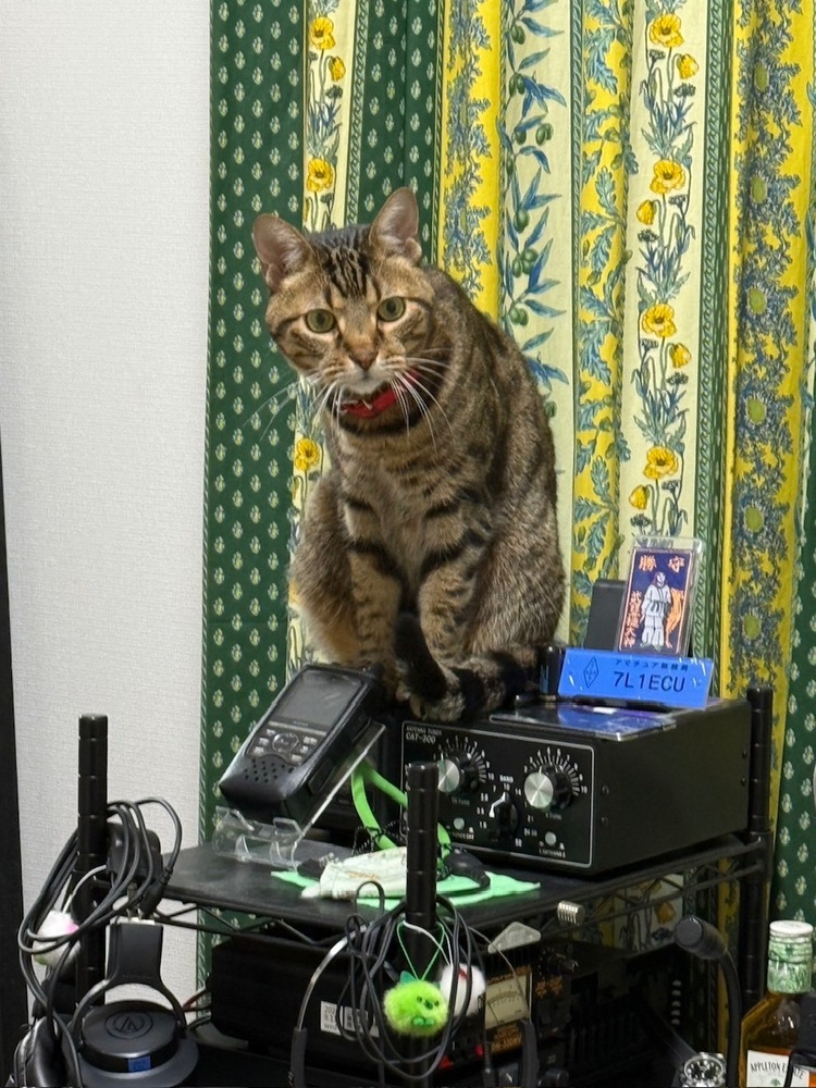 QSLカード画像