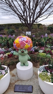 QSLカード画像