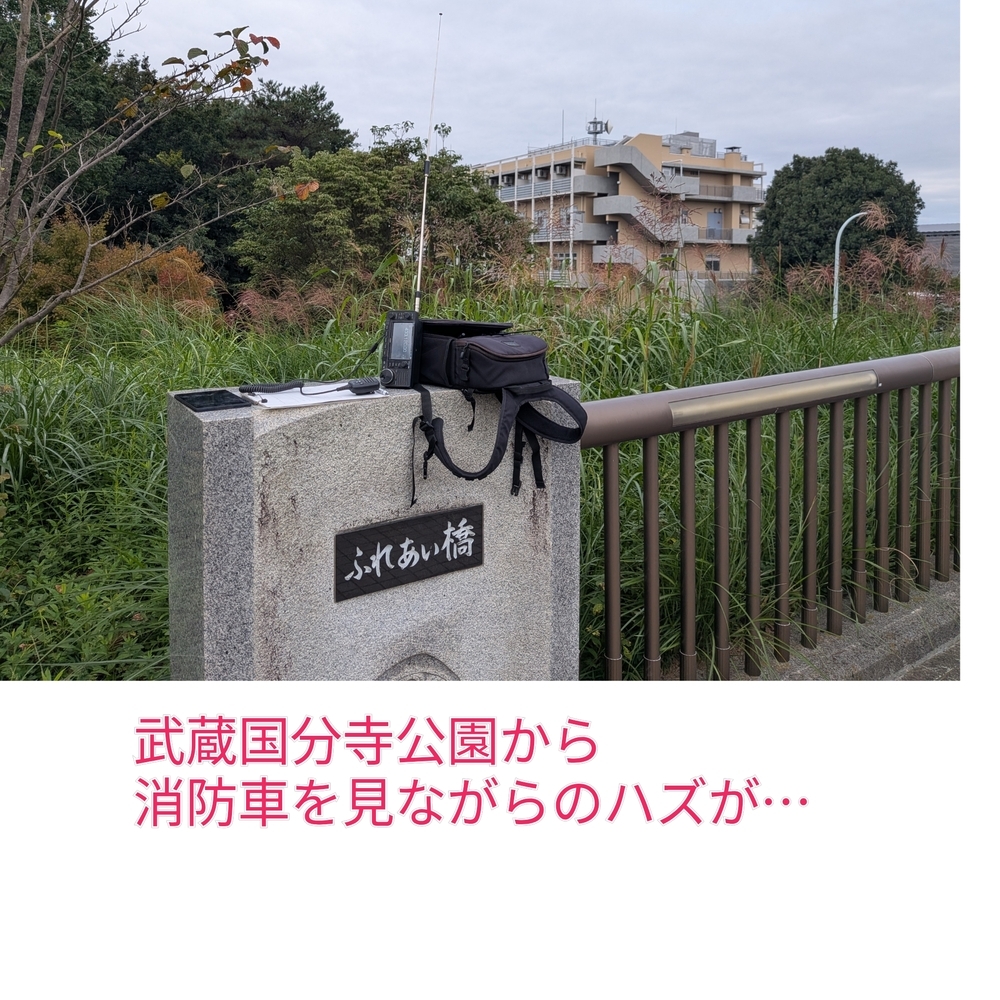 QSLカード画像
