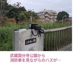 QSLカード画像